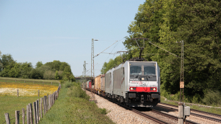 E186 285 Vogl