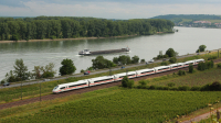 Treno ICE corre parallelo ai vigneti e al fiume Reno, in località Nierstein.