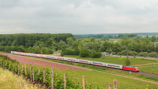 1 Giugno 2015: lungo la valle del Reno