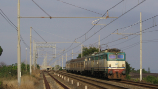 E645 324 e E646 154 Carrubba