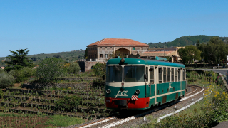ADe14 Rovittello