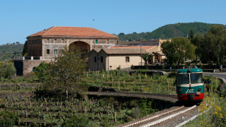 ADe14 Rovittello Curva