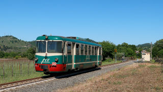 ADe14 Rovittello