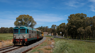D345 1144 e D345 1005 Vizzini