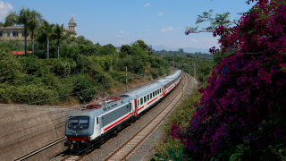 E464 346 e 261 Guardia Mangano