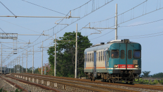 ALn668 3031 Carrubba