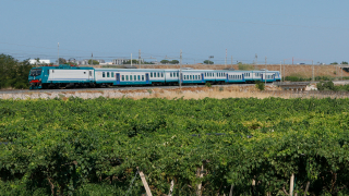 E464 338 Barletta