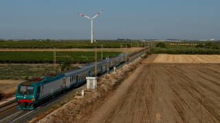 E464 109 Trinitapoli
