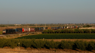 E189 908 Carapelle