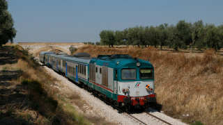 D445 1100 Amendola
