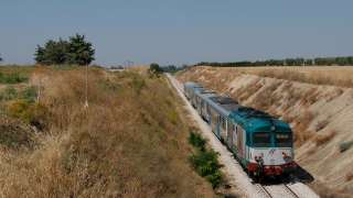 D445 1100 Amendola