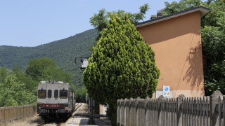 ALn776 057 Labro Moggio