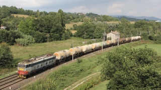 E655 550 Stimigliano