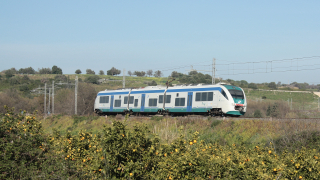 ALe501 029 Augusta