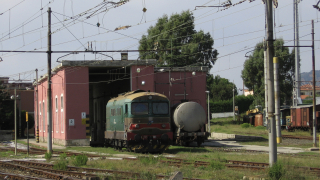 La D345 1001 è ripresa in sosta in deposito locomotive a Lamezia Terme Centrale, probabilmente come titolare dei servizi di manovra pesante nello scalo adiacente alla stazione, in quel periodo ancora in attività.