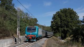 E464 426 Giuncano