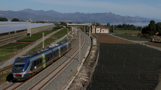 Minuetto Elettrico 100 Carruba
