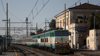 E656 476 Torricola
