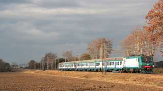 E464 204 Migliarino Pisano