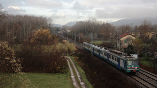 ALe642 067 Lucca