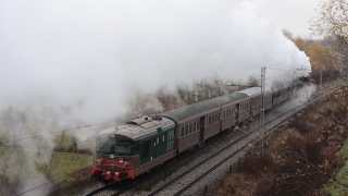 D345 1118 Lucca