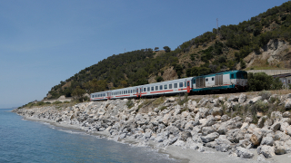 D445 1141 Palizzi