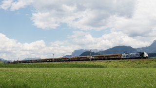 186 441 Langkampfen