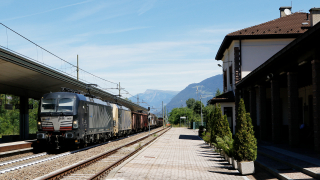 E193 666 Ora Auer