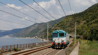D445 1094 Scilla