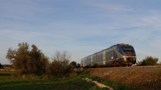 ALn501 024 Cassibile