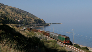 D445 1034 Torremuzza