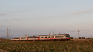 E464 343 Passomartino
