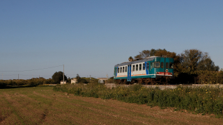 ALn668 3038 Santa Teresa Longarini