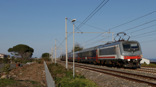 E464 397 Carrubba