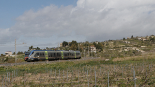 ALe501 069 Aragona