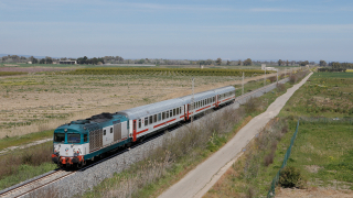D445 1141 Marconia