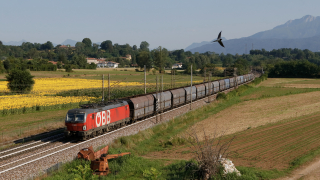 OBB 1293 080 Tricesimo