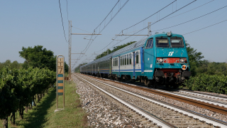 Carrozza Pilota MDVC Basilano