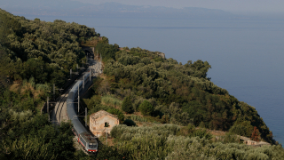 E464 292 Palmi