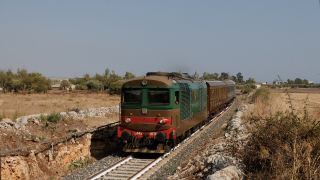D445 1034 Sampieri