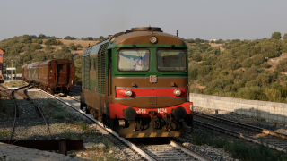 D445 1034 Donnafugata 