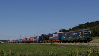 193 203 ELL TX Logistics Hidden Champion Oberdachstetten