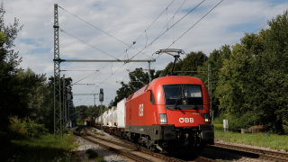 OBB 1116 162 Assling