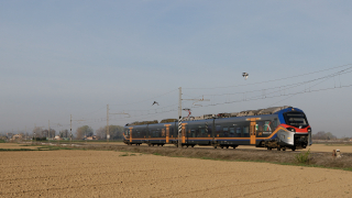 Il passaggio del POP disturba gli abitanti del luogo che, non appena sentito il rumore, provano a volare via per qualche secondo. l'ETR 104 POPO treno 16 ripreso in linea tra Granarolo e Russi.