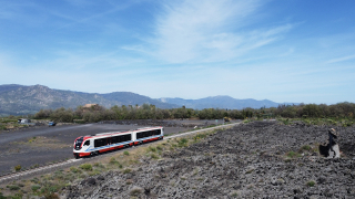 DMU004 Randazzo