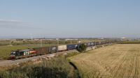 E483 054 Elettra Carapelle