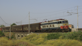 E655 285 Pasteria
