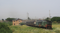 443 1008 e 1013 Passomartino