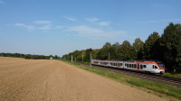 Flirt ET 410 Eltville am Rhein Drone