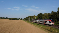 Flirt ET 305 Eltville am Rhein Drone